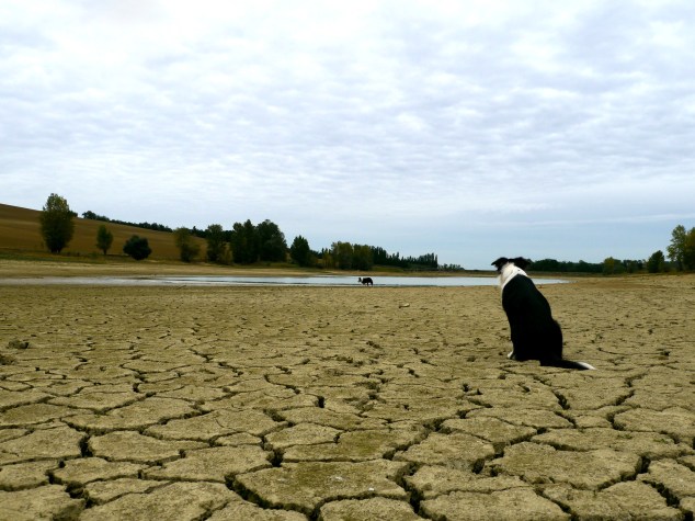 lake_dried_blog_gen_1